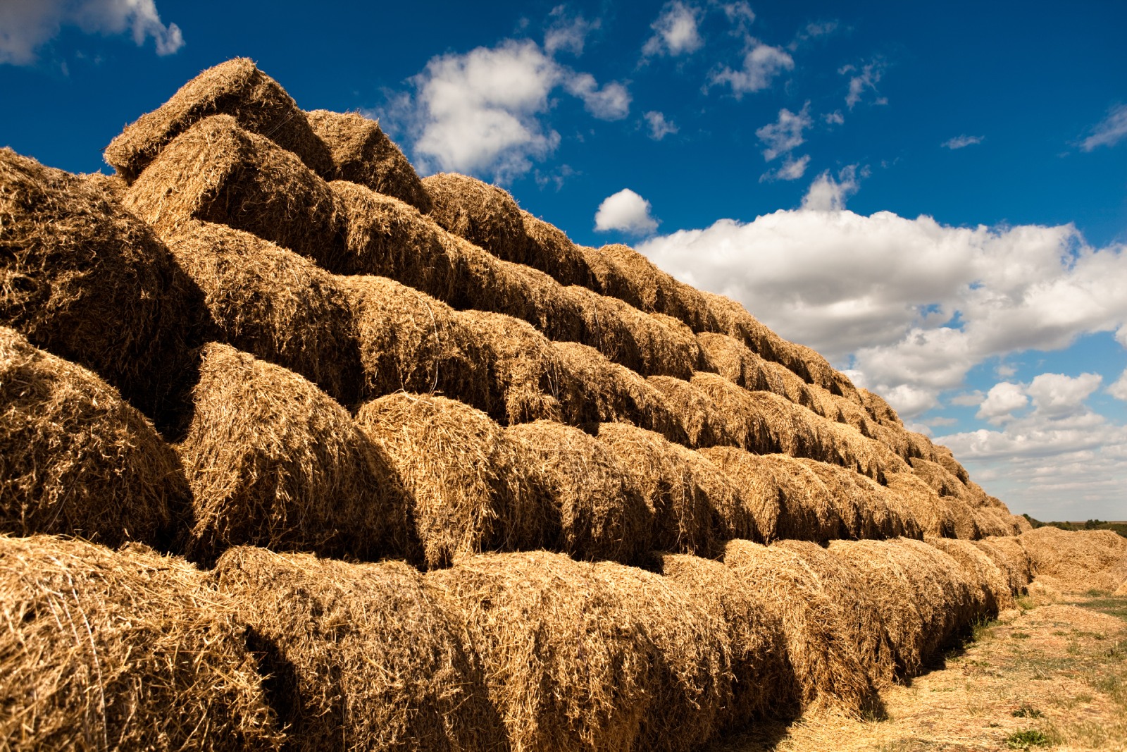 De la paie rămase pe câmp, la brichete ecologice: Povestea INUVERES SRL din Chislaz